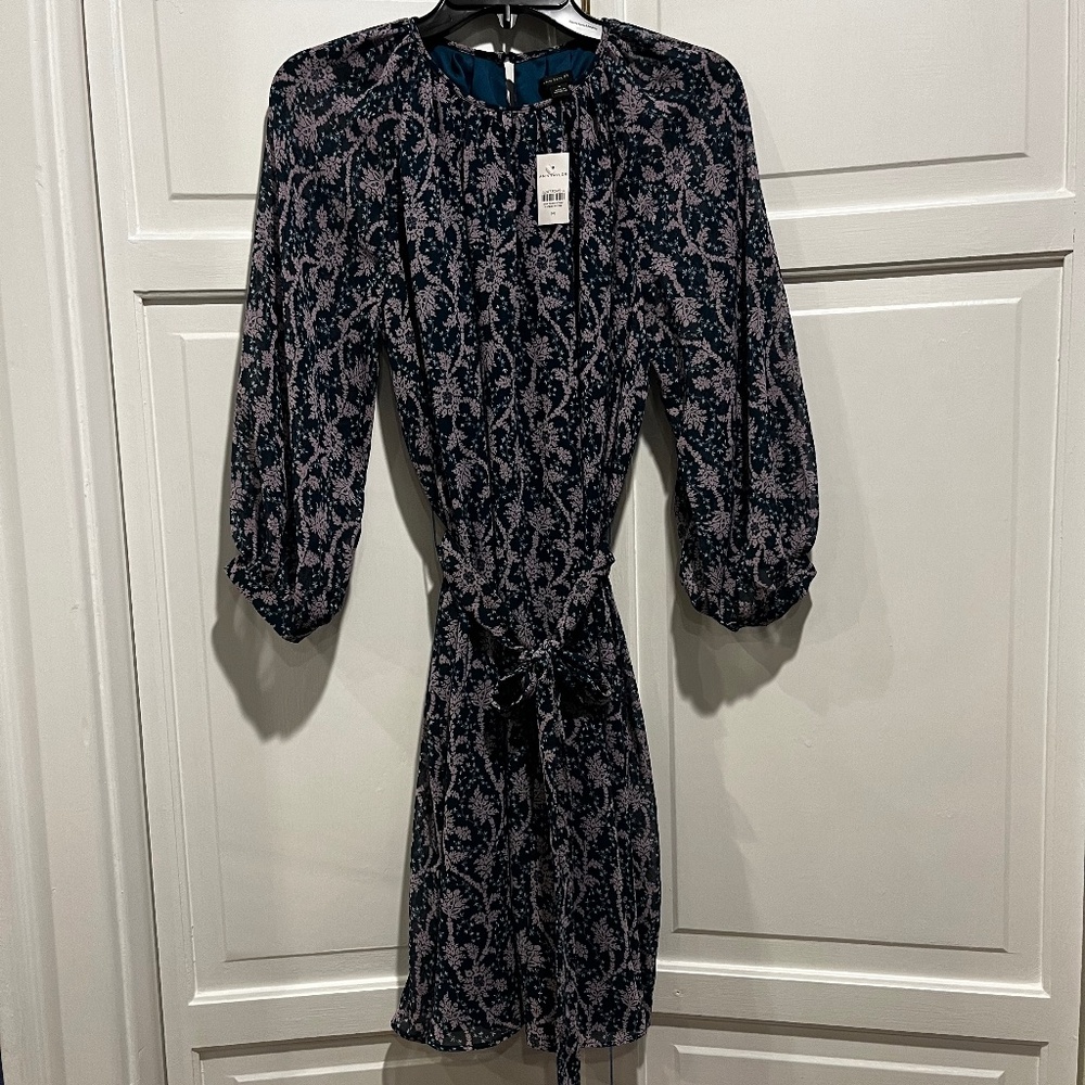 Ann Taylor Dress